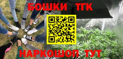 прущие грибы Каменск-Шахтинский