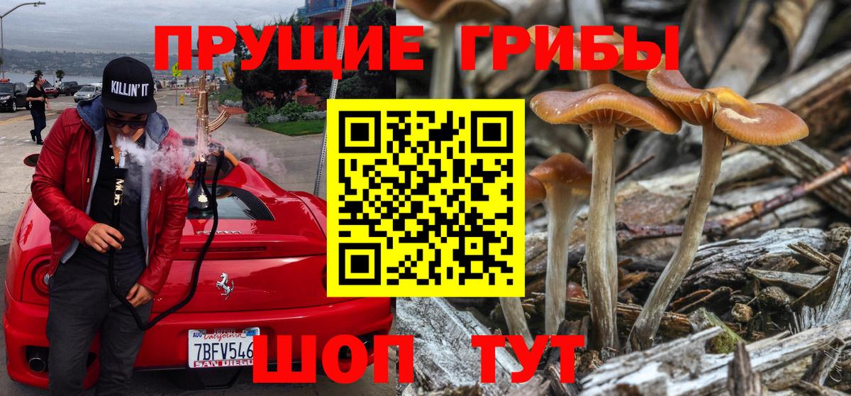 Галлюциногенные грибы Psilocybe  Вход с VPN  Ливны 